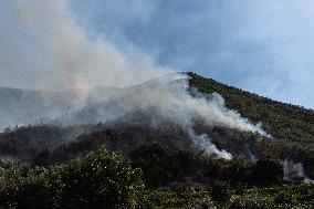 Large Forest Fire In Naples, Monte Pendolo Burns In Gragnano