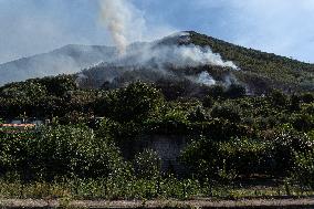 Large Forest Fire In Naples, Monte Pendolo Burns In Gragnano