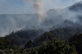 Large Forest Fire In Naples, Monte Pendolo Burns In Gragnano