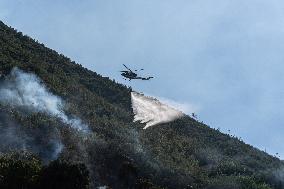 Large Forest Fire In Naples, Monte Pendolo Burns In Gragnano