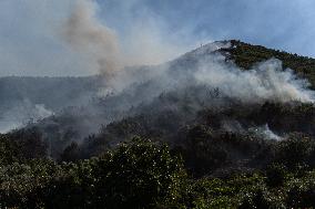 Large Forest Fire In Naples, Monte Pendolo Burns In Gragnano