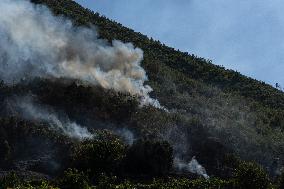 Large Forest Fire In Naples, Monte Pendolo Burns In Gragnano