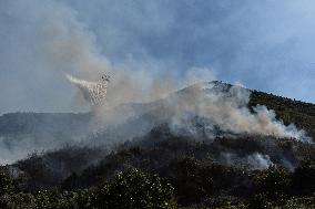 Large Forest Fire In Naples, Monte Pendolo Burns In Gragnano