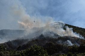 Large Forest Fire In Naples, Monte Pendolo Burns In Gragnano