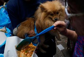 Tlaxcala Breaks Guinness Record By Distributing Free Basket Tacos In Mexico