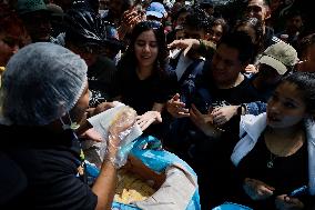 Tlaxcala Breaks Guinness Record By Distributing Free Basket Tacos In Mexico