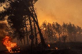 GREECE-ATHENS-WILDFIRE