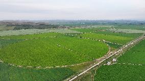 Modern Agricultural Industrial Park in Zhangjiakou