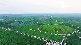 Modern Agricultural Industrial Park in Zhangjiakou