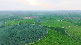 Modern Agricultural Industrial Park in Zhangjiakou