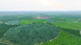 Modern Agricultural Industrial Park in Zhangjiakou