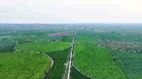 Modern Agricultural Industrial Park in Zhangjiakou