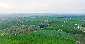 Modern Agricultural Industrial Park in Zhangjiakou