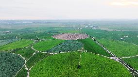 Modern Agricultural Industrial Park in Zhangjiakou