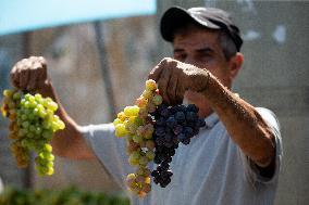 Daily Life In Balata Camp - West Bank