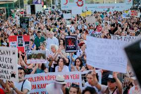 Pro-animal Rights Activists Protest - Istanbul