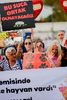 Pro-animal Rights Activists Protest - Istanbul