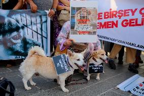 Pro-animal Rights Activists Protest - Istanbul