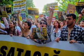 Pro-animal Rights Activists Protest - Istanbul