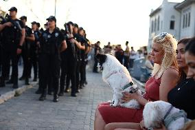 Pro-animal Rights Activists Protest - Istanbul