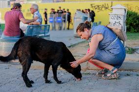 Pro-animal Rights Activists Protest - Istanbul