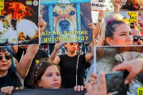 Pro-animal Rights Activists Protest - Istanbul