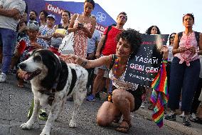 Pro-animal Rights Activists Protest - Istanbul