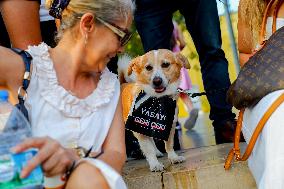 Pro-animal Rights Activists Protest - Istanbul