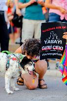 Pro-animal Rights Activists Protest - Istanbul