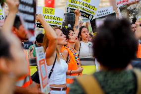 Pro-animal Rights Activists Protest - Istanbul