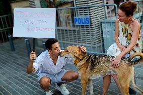 Pro-animal Rights Activists Protest - Istanbul