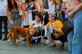 Pro-animal Rights Activists Protest - Istanbul