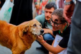 Pro-animal Rights Activists Protest - Istanbul