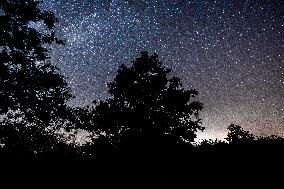 Perseid Showers Seen From Madrid