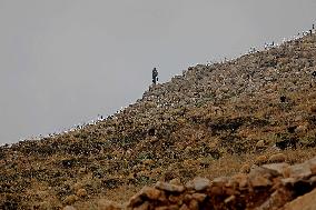 LEBANON-MOUNT LEBANON-SCENERY