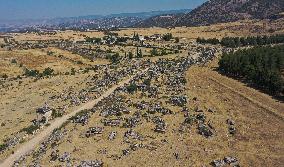 T?RKIYE-DENIZLI-HIERAPOLIS-SCENERY