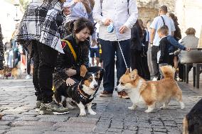 Corgi parade