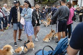 Corgi parade