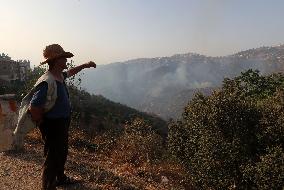 Fire In Algeria, Tizi Ouzou Kabylie