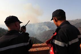 Fire In Algeria, Tizi Ouzou Kabylie