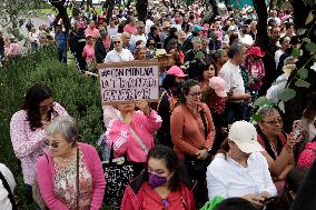 Marea Rosa Protest Against Legislative Overrepresentation Of Morena Party