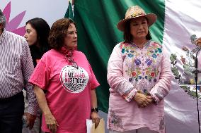 Marea Rosa Protest Against Legislative Overrepresentation Of Morena Party