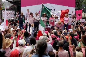 Marea Rosa Protest Against Legislative Overrepresentation Of Morena Party