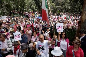 Marea Rosa Protest Against Legislative Overrepresentation Of Morena Party