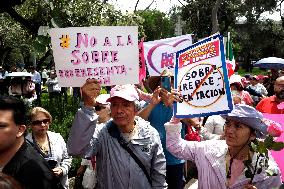 Marea Rosa Protest Against Legislative Overrepresentation Of Morena Party