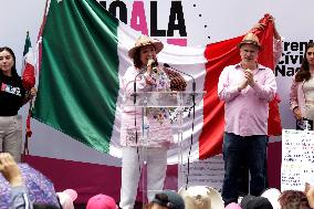 Marea Rosa Protest Against Legislative Overrepresentation Of Morena Party