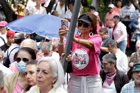 Marea Rosa Protest Against Legislative Overrepresentation Of Morena Party