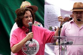 Marea Rosa Protest Against Legislative Overrepresentation Of Morena Party