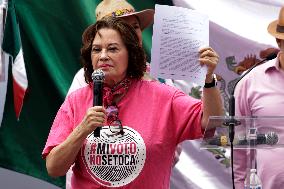 Marea Rosa Protest Against Legislative Overrepresentation Of Morena Party