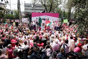 Marea Rosa Protest Against Legislative Overrepresentation Of Morena Party